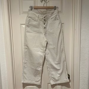 Levis Mile High Rise Cropped Wide Leg Jean | Size 29